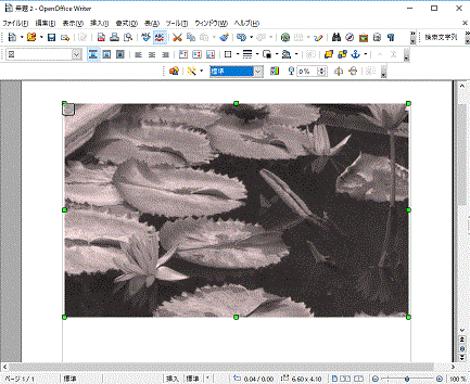 画像にフィルタをかける-エイジング（50％）-OpenOfficeWriter