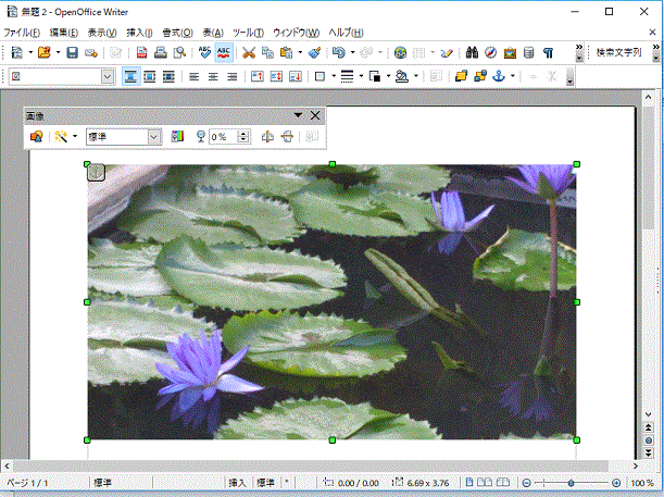 画像が挿入された-OpenOfficeWriter