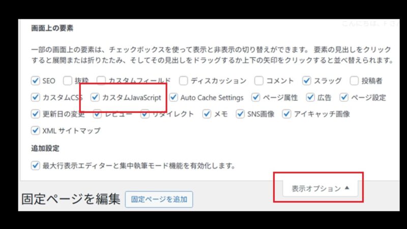 〔表示オプション〕を押して、〔カスタムJavaScript〕にチェックがついているか確認する2－WordPress