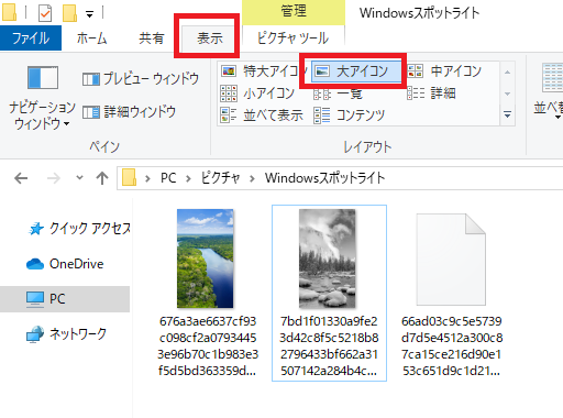 〔表示〕タブ-大アイコン-Windows10