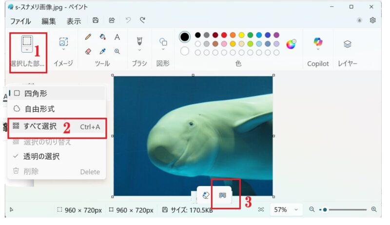 背景の削除-ペイント