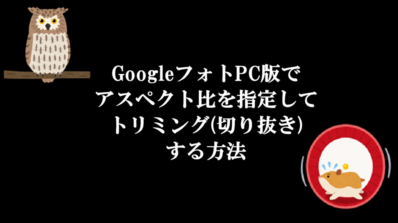 GoogleフォトPC版でアスペクト比を指定してトリミング(切り抜き)する方法