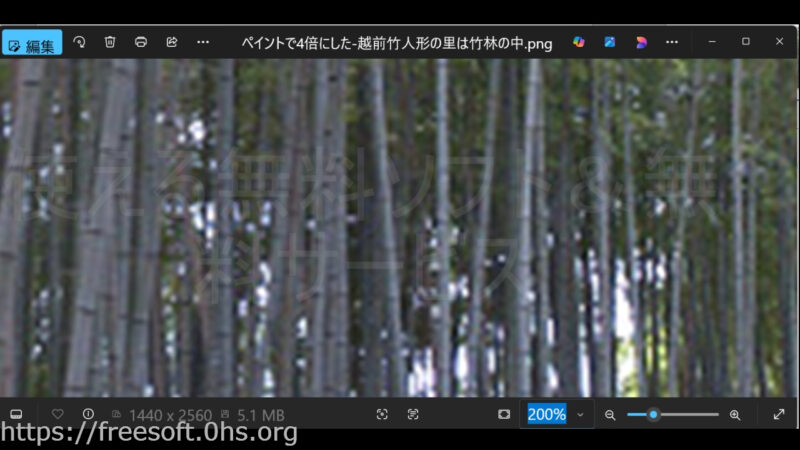 ペイントで4倍にした写真を200％拡大