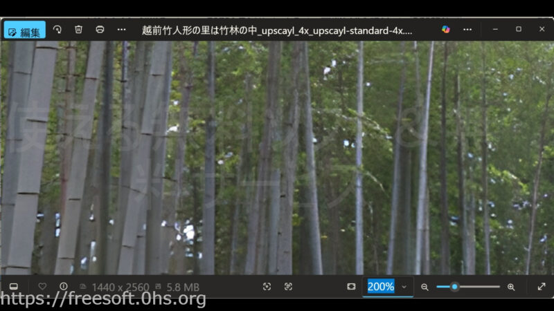 スタンダードで4倍にした写真を200％拡大