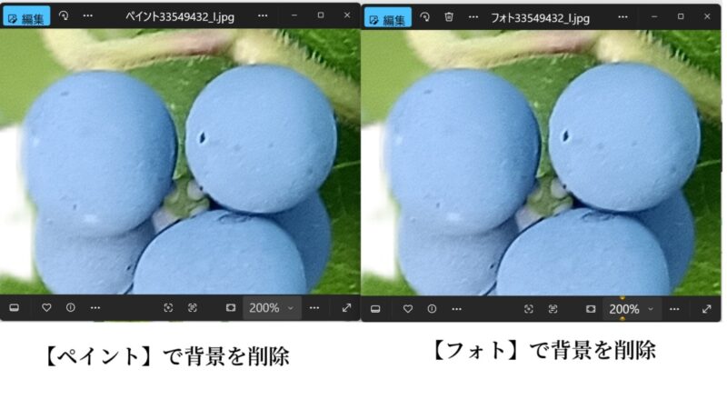 背景の削除-フォトとペイントの比較200倍